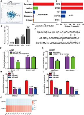 Corrigendum: Comprehensive pan-cancer analysis of the prognostic and immunological roles of the METTL3/lncRNA-SNHG1/miRNA-140-3p/UBE2C axis